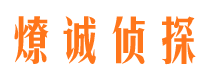 温县商务调查